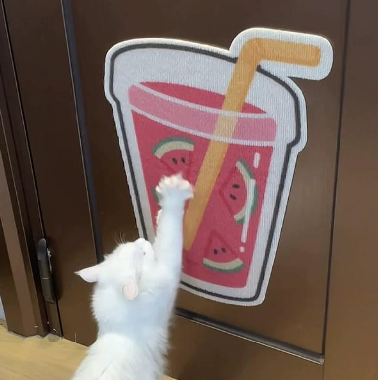 Kaidox™ Premium Self-Adhesive Cat Scratcher