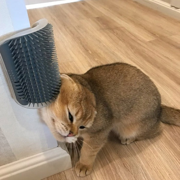 KAIDOX™ Cat Self-Grooming Brush & Massager