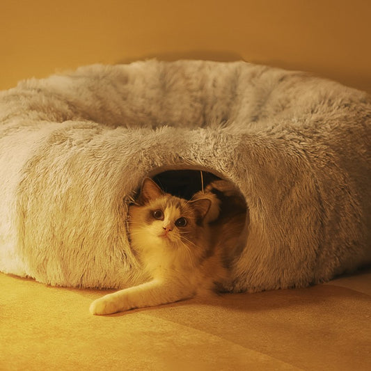 Cat Donut Tunnel